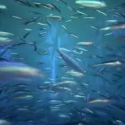 nm(ナノメートル)