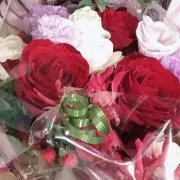こすもす
