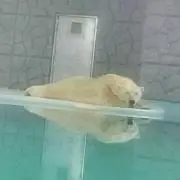 じゅん☆まる