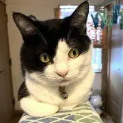Bobyの画像