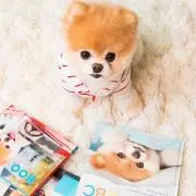 リラ＊プロフ読んで下さい＊の画像