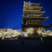 RAIONN888の画像