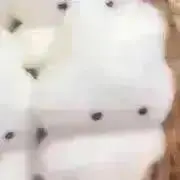 はう!オーダー受付中の画像
