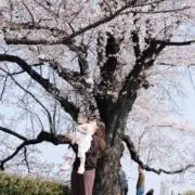Kuishinboの画像