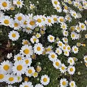 ❕❕❕の画像