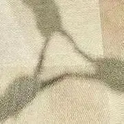 yonの画像