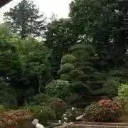 ☆りんご☆の画像