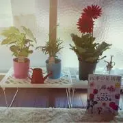 usako♡プロフ必読の画像