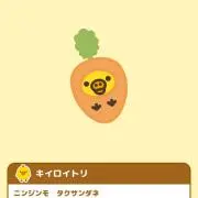 きょうの画像