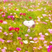 May
