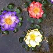 ＊はな＊の画像