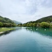 minato¥セール中の画像