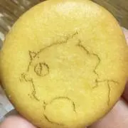 ユキの画像
