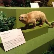 センタージェット