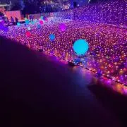 とまとの画像