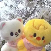 みるの画像