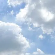 ゆゆの画像