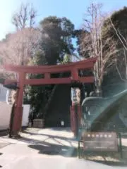 ローズ24