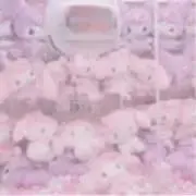 ぴぴぴの画像