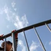 ぼめの画像