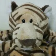 とらちゃん