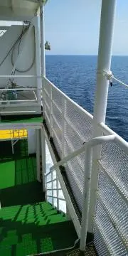 Gやしきの画像