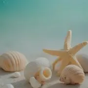 cocoaの画像