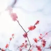 mi