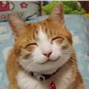 あつつの画像