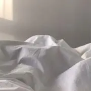 Cの画像