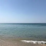 N.tmの画像