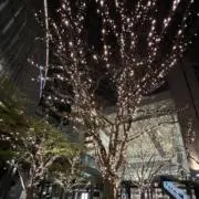 Moの画像