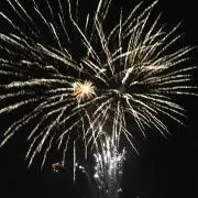 ニャンコ先生の画像