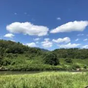 あこの画像
