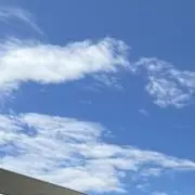 ♡まとめ割♡ひよこの画像