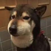 メンロクリームソーダ