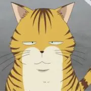 小雨(紹介文読んでください)の画像