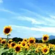 mmy.の画像