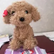 Tatsuの画像