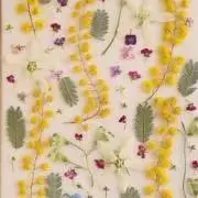 花mizukiの画像