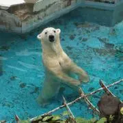 hhhhochiの画像