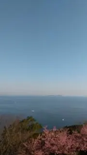 あおの画像