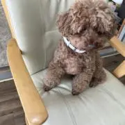 もか