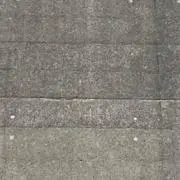も