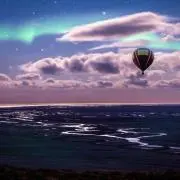 ふぃーの画像