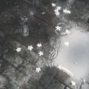 ✩の画像