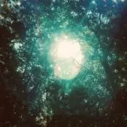 TKの画像