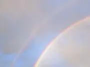 アロハの画像