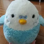 くまの画像