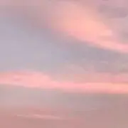 まきの